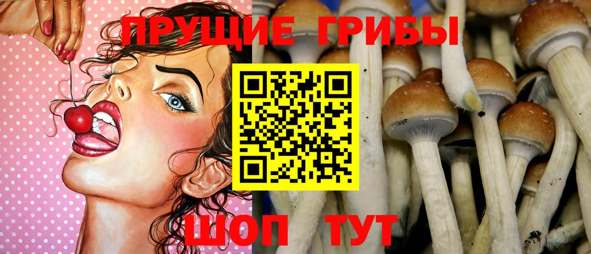 Псилоцибиновые грибы Psilocybine cubensis  Вход с VPN  Ессентуки  Галлюциногенные грибы Magic Shrooms 
